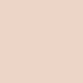 NR0 Neutral Rose