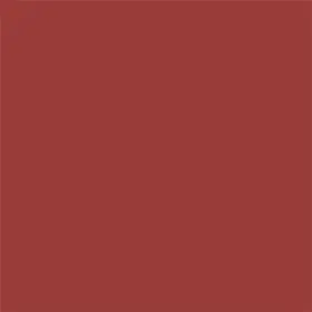 06 Red Obsession