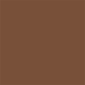 N170 Neutral