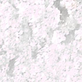 01 Lustre Layer