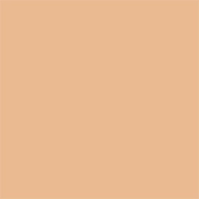 WB30 Warm Beige