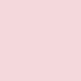 01 Tutu Rose