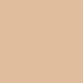 NR10 Neutral Rose 10