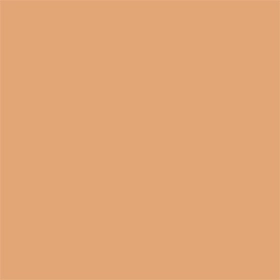 N95 Neutral