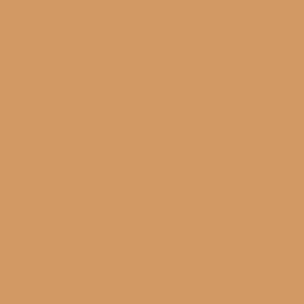 G95 Gold 95