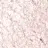 39 Metallic Baby Rose