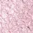 40 Metallic Ballerina Rose